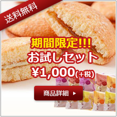 送料無料1000円お試しセット