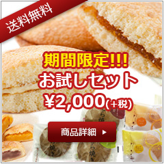 送料無料2000円お試しセット